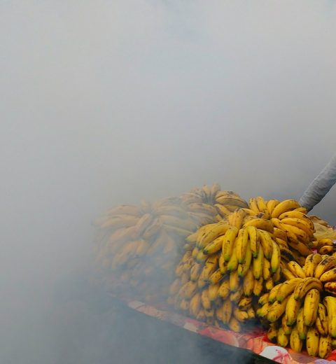 banana cart in fog