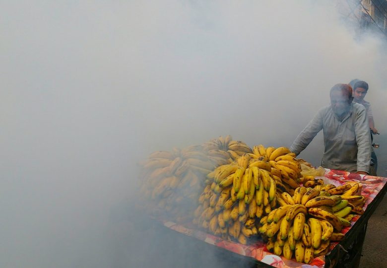 banana cart in fog