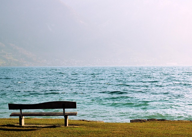 empty wooden bench by a ruffled ocean inviting reflection and contemplation