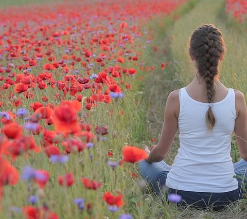 meditation in cornfield with poppies