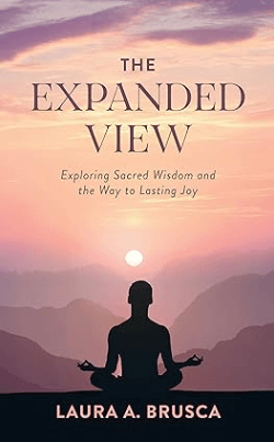 book: the expanded view by laura brusca